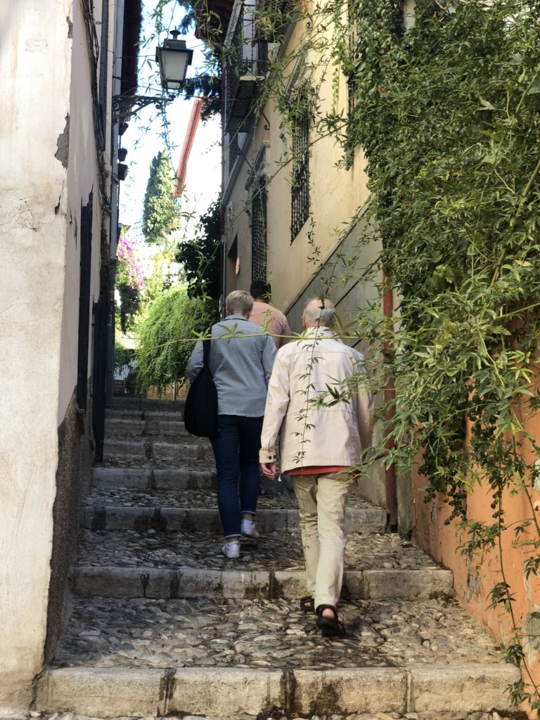 Visitando Granada